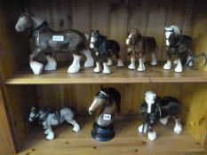 Collection of China Shire Horses