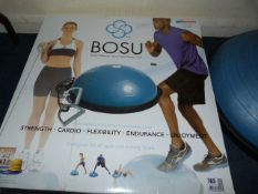 Bosu Balance Trainer
