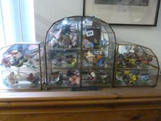Collection of Porcelain Butterflies of The World & Display Cases