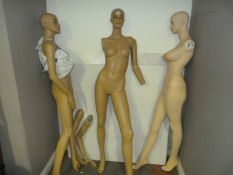3 Female Mannequins