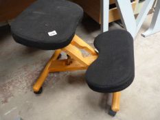 Posture Seat