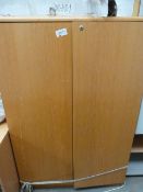 5ft Stationary Cabinet (Sold with Lot 239)
