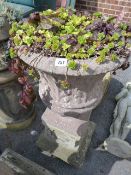 Large Concrete Garden Planter on Plinth