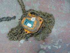 Pecal 1 Ton Chain Block
