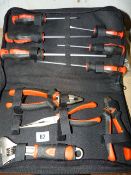 11 Piece Tool Set in Canvas Bag