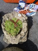 Concrete Garden Planter