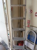 Pair of Aluminium Extending Loft Ladders