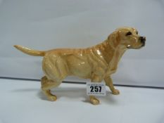 Beswick Labrador