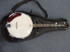 Remo Weatherking Banjo & Case
