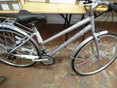 *Lady's ACTIV OAKLAND 17