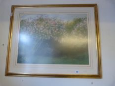 Gilt Framed Print