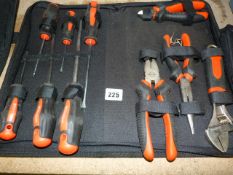 10 Piece Tool Set