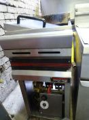 Waiaan Gas Fired Single Basket Fryer