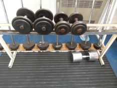 Dumbbell Rack