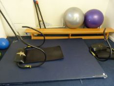 3 Gym Mats & 2 Ab Rollers - Swiss Balls etc
