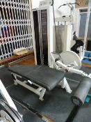 Pulsar Fitness Fly Extenstion & Leg Curl