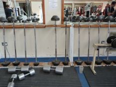 Weight Rack containing 15 Bars & Weights