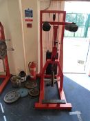 Panatta Sport Calf Raise Strength Machine