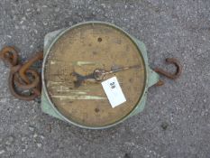 Salter 200lb Balance Scale