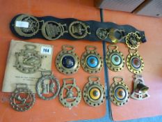 Collection of Horse Brasses