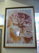 Noelle Hooppe Glazed Print - Pink Rose & Unframed Canvas of a Rose