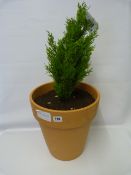 *ARTIFICIAL FLOOR PLANTER