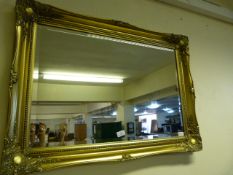 Ornate Gilt Framed Wall Mirror