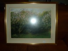 Gilt Framed Print