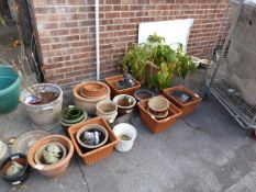 Plant Pots, Plants etc