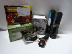 *8 Assorted Torches & Set of Fairy Lights