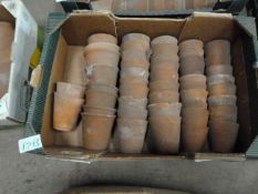 Terracotta Plant Pots