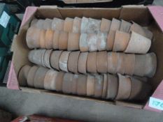 Terracotta Plant Pots