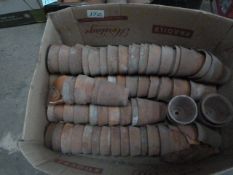 Terracotta Plant Pots