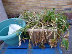 Quantity of Terracotta Plant Pots - Cast Iron Duck etc