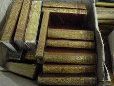 Collection of Charles Dickens Novels
