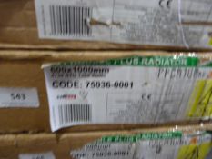 *600 x 1000 T21 Double Panel Radiator