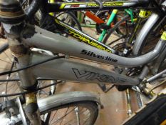 Viking Lady's Traditional Cycle - Silver