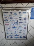 Decorative Prints of the Sea