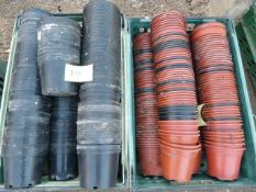 *200 x 1L Black & 200 x 30cm Terracotta Coloured