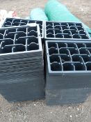 *Assorted Plug Trays