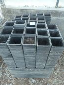 *Quantity of Seed Trays & Single Pots
