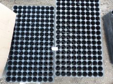 *Assorted Plug Trays