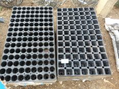 *Quantity of Seed Plug Trays