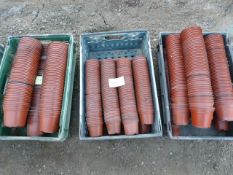 *200 x 13cm - 400 Half 9's & 400 x 11cm Plant Pots