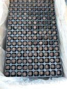 *Box containing 3 Composted Plugs