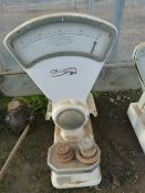 Set of Co-Operative Early Shop Scales