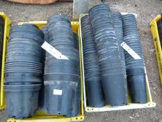 *200 Mixed & 100 Tall Rose Pots