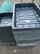 *Seed Trays