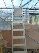 *Aluminium Step Ladder