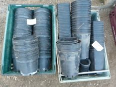 *100 x 2L & 150 Mixed Pots